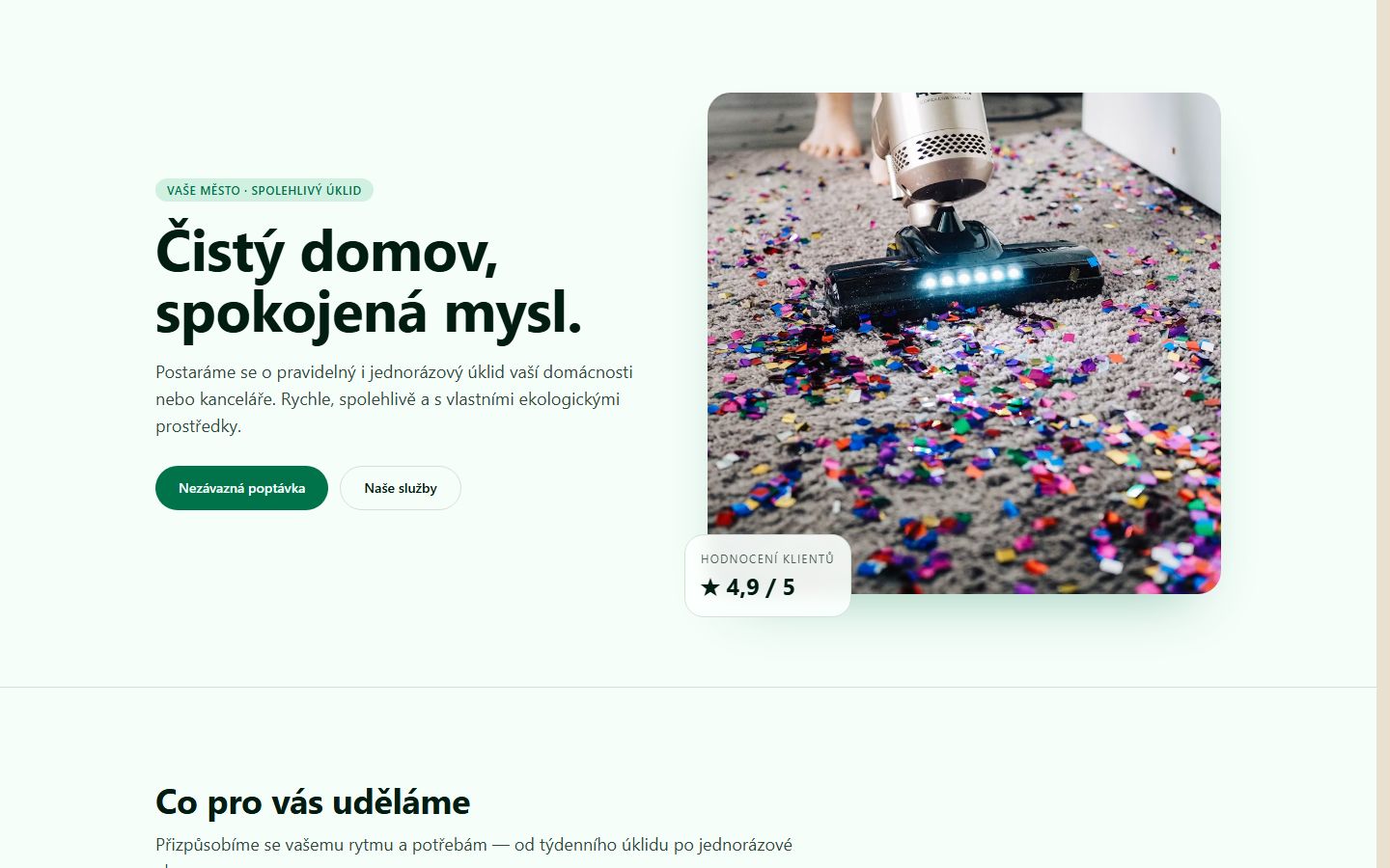 Čisticí firma preview